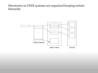 Directories in UNIX systems are organized keeping certain hierarchy 