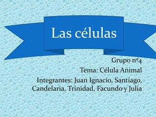 Grupo nº4 Tema: Célula Animal Integrantes: Juan Ignacio, Santiago, Candelaria, Trinidad, Facundo y Julia Las células 