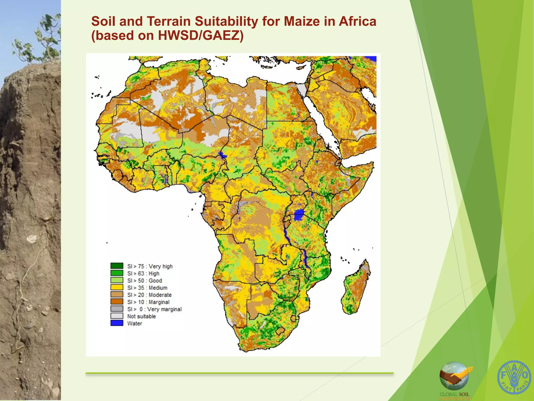 Soil and Terrain Suitability for Maize in Africa 
(based on HWSD/GAEZ) 
 