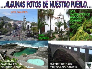 ...ALGUNAS FOTOS DE NUESTRO PUEBLO... LOS NACIENTES DE MARCOS Y CORDERO LOS SAUCES SAN ANDRÉS PISCINAS NATURALES “CHARCO AZUL” PUENTE DE “LOS TILES”-LOS SAUCES 