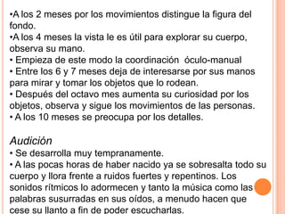 •A los 2 meses por los movimientos distingue la figura del
fondo.
•A los 4 meses la vista le es útil para explorar su cuerpo,
observa su mano.
• Empieza de este modo la coordinación óculo-manual
• Entre los 6 y 7 meses deja de interesarse por sus manos
para mirar y tomar los objetos que lo rodean.
• Después del octavo mes aumenta su curiosidad por los
objetos, observa y sigue los movimientos de las personas.
• A los 10 meses se preocupa por los detalles.

Audición
• Se desarrolla muy tempranamente.
• A las pocas horas de haber nacido ya se sobresalta todo su
cuerpo y llora frente a ruidos fuertes y repentinos. Los
sonidos rítmicos lo adormecen y tanto la música como las
palabras susurradas en sus oídos, a menudo hacen que
cese su llanto a fin de poder escucharlas.
 