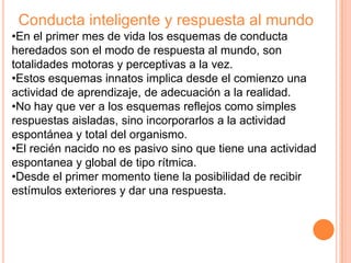 Conducta inteligente y respuesta al mundo
•En el primer mes de vida los esquemas de conducta
heredados son el modo de respuesta al mundo, son
totalidades motoras y perceptivas a la vez.
•Estos esquemas innatos implica desde el comienzo una
actividad de aprendizaje, de adecuación a la realidad.
•No hay que ver a los esquemas reflejos como simples
respuestas aisladas, sino incorporarlos a la actividad
espontánea y total del organismo.
•El recién nacido no es pasivo sino que tiene una actividad
espontanea y global de tipo rítmica.
•Desde el primer momento tiene la posibilidad de recibir
estímulos exteriores y dar una respuesta.
 