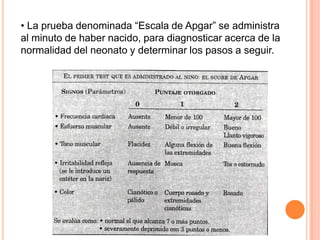 • La prueba denominada “Escala de Apgar” se administra
al minuto de haber nacido, para diagnosticar acerca de la
normalidad del neonato y determinar los pasos a seguir.
 