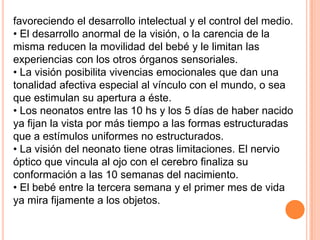 favoreciendo el desarrollo intelectual y el control del medio.
• El desarrollo anormal de la visión, o la carencia de la
misma reducen la movilidad del bebé y le limitan las
experiencias con los otros órganos sensoriales.
• La visión posibilita vivencias emocionales que dan una
tonalidad afectiva especial al vínculo con el mundo, o sea
que estimulan su apertura a éste.
• Los neonatos entre las 10 hs y los 5 días de haber nacido
ya fijan la vista por más tiempo a las formas estructuradas
que a estímulos uniformes no estructurados.
• La visión del neonato tiene otras limitaciones. El nervio
óptico que vincula al ojo con el cerebro finaliza su
conformación a las 10 semanas del nacimiento.
• El bebé entre la tercera semana y el primer mes de vida
ya mira fijamente a los objetos.
 
