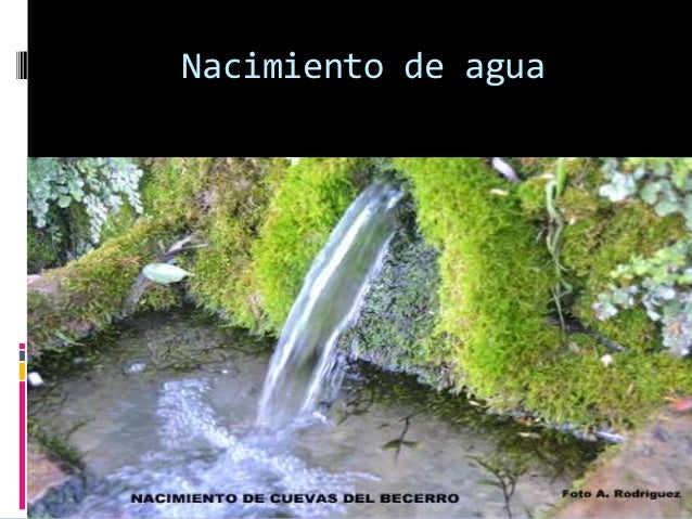 Nacimiento de agua Evelyn perez gutierrez