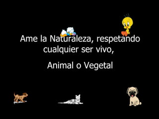 Ame la Naturaleza, respetando cualquier ser vivo,  Animal o Vegetal 