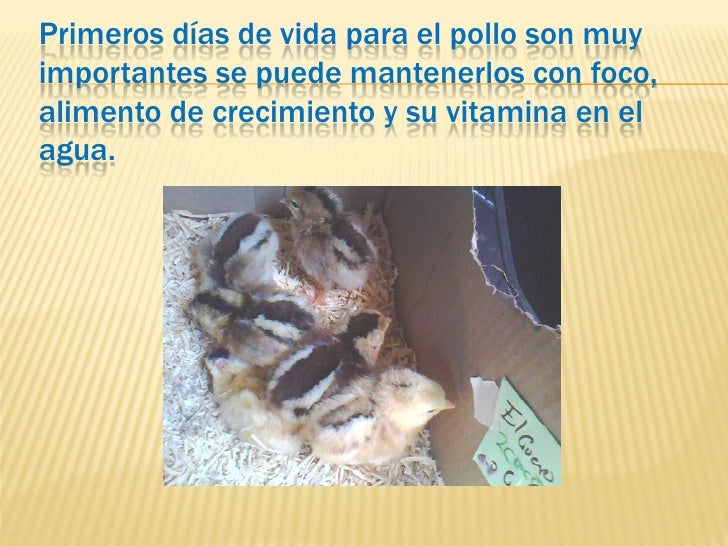 jaime ignacio del burgo jose luis supervivientes masterchef