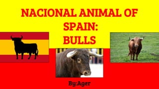 NACIONAL ANIMAL OF
SPAIN:
BULLS
 