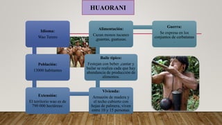 Idioma:
Wao Terero
Población:
13000 habitantes
Extensión:
El territorio wao es de
790 000 hectáreas:
Vivienda:
Armazón de madera y
el techo cubierto con
hojas de palmera, viven
entre 10 y 15 personas.
Baile típico:
Festejan con beber ,cantar y
bailar se realiza cada que hay
abundancia de producción de
alimentos.
Alimentación:
Cazan monos tucanes
,guantas, guatusas.
Guerra:
Se expresa en los
conjuntos de cerbatanas
.
HUAORANI
 