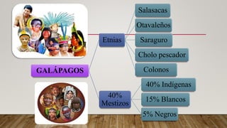 GALÁPAGOS
Etnias
Salasacas
Otavaleños
Saraguro
Cholo pescador
Colonos
40%
Mestizos
40% Indígenas
15% Blancos
5% Negros
 