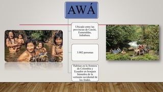 AWÁ
Ubicado entre las
provincias de Carchi,
Esmeraldas,
Imbabura.
3.082 personas
Habitan en la frontera
de Colombia y
Ecuador en bosques
húmedos de la
vertiente occidental de
los Andes.
 