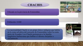 Ubicado en la provincia de Esmeraldas
Población: 8.040
La nacionalidad Chachi es un grupo étnico indígena que habita
en la zona selvática del noroeste de Esmeraldas sobre la costa
norte de Ecuador. Los Chachi pertenecen a la familia
lingüística barbacoana que hablan el idioma cha'palaa o
cha'palaachi.
CHACHIS
 