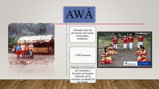AWÁ
Ubicado entre las
provincias de Carchi,
Esmeraldas,
Imbabura.
3.082 personas
Habitan en la frontera
de Colombia y
Ecuador en bosques
húmedos de la
vertiente occidental de
los Andes.
 