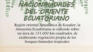 Región oriental Amazónica de Ecuador, la
Amazonia Ecuatoriana se extiende sobre
un área de 131.000 km cuadrados, de
exuberante vegetación propia de los
bosques húmedos tropicales.
 