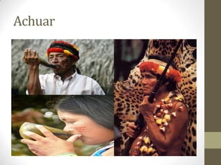Achuar
 