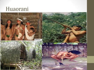 Huaorani
 