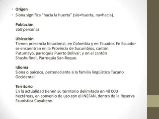 • Origen
• Siona significa "hacia la huerta" (sio=huerta, na=hacia).
Población
360 personas
Ubicación
Tienen presencia binacional, en Colombia y en Ecuador. En Ecuador
se encuentran en la Provincia de Sucumbíos, cantón
Putumayo, parroquia Puerto Bolívar; y en el cantón
Shushufindi, Parroquia San Roque.
Idioma
Siona o paicoca, perteneciente a la familia lingüística Tucano
Occidental.
Territorio
En la actualidad tienen su territorio delimitado en 40 000
hectáreas, en convenio de uso con el INEFAN, dentro de la Reserva
Faunística Cuyabeno.
 