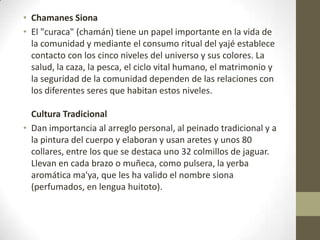 • Chamanes Siona
• El "curaca" (chamán) tiene un papel importante en la vida de
la comunidad y mediante el consumo ritual del yajé establece
contacto con los cinco niveles del universo y sus colores. La
salud, la caza, la pesca, el ciclo vital humano, el matrimonio y
la seguridad de la comunidad dependen de las relaciones con
los diferentes seres que habitan estos niveles.
Cultura Tradicional
• Dan importancia al arreglo personal, al peinado tradicional y a
la pintura del cuerpo y elaboran y usan aretes y unos 80
collares, entre los que se destaca uno 32 colmillos de jaguar.
Llevan en cada brazo o muñeca, como pulsera, la yerba
aromática ma'ya, que les ha valido el nombre siona
(perfumados, en lengua huitoto).
 