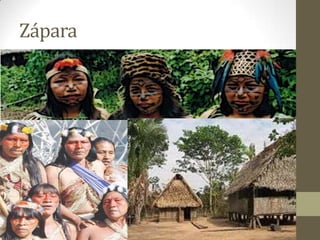 Zápara
 