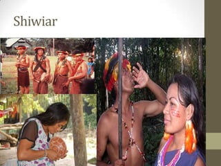 Shiwiar
 