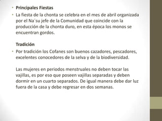 • Principales Fiestas
• La fiesta de la chonta se celebra en el mes de abril organizada
por el Na´su jefe de la Comunidad que coincide con la
producción de la chonta duro, en esta época los monos se
encuentran gordos.
Tradición
• Por tradición los Cofanes son buenos cazadores, pescadores,
excelentes conocedores de la selva y de la biodiversidad.
Las mujeres en periodos menstruales no deben tocar las
vajillas, es por eso que poseen vajillas separadas y deben
dormir en un cuarto separados. De igual manera debe dar luz
fuera de la casa y debe regresar en dos semanas.
 
