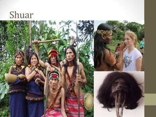 Shuar
 