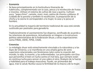 • Economía
• Se basa principalmente en la horticultura itinerante de
tubérculos, complementada con la caza, pesca y la recolección de frutos
e insectos. Utilizan el sistema de cultivo de roza y quema. Cultivan
yuca, "papa china", camote, maní, maíz, palma de chonta y plátano. El
cuidado de la parcela y también la recolección, la preparación de la
chicha y la cocina le corresponden a la mujer; la caza y la pesca al
hombre.
En la actualidad la mayoría del territorio tradicional de caza está siendo
sustituido por pastizales para ganadería.
Tradicionalmente el asentamiento fue disperso, zonificado de acuerdo a
las relaciones de parentesco. Actualmente se integran a la estructura
político administrativa de la Federación Shuar, y otras organizaciones
como FINAE, OSHE, FIPSE, CISAE.
Creencias
• La mitología shuar está estrechamente vinculada a la naturaleza y a las
leyes de Universo, y se manifiesta en una amplia gama de seres
superiores relacionados con fenómenos tales como la creación del
mundo, la vida, la muerte, y las enfermedades. Los principales son Etsa
que personifica el bien en lucha contra el mal Iwia, que siempre están
en continua lucha para vencer el uno sobre el otro; Shakaim de la fuerza
y habilidad para el trabajo masculino; Tsunki, ser primordial del
agua, trae la salud; Nunkui causa la fertilidad de la chacra y de la mujer.
 
