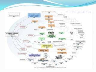 Nacionalismo e imperialismo