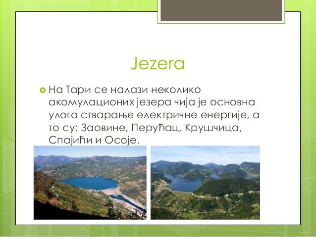 Национални парк Тара