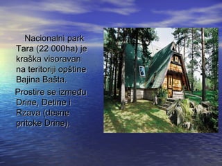 Nacionalni parkNacionalni park
Tara (22 000ha) jeTara (22 000ha) je
krakrašška visoravanka visoravan
na teritoriji opna teritoriji opšštinetine
Bajina BaBajina Baššta.ta.
Prostire se izmeProstire se izmeđđuu
Drine,Drine, ĐĐetine ietine i
Rzava (desneRzava (desne
pritoke Drine).pritoke Drine).
 