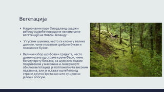 Вегетација
05
▪ Национални парк Фиордланд садржи
већину највеће површине неизмењене
вегетације на Новом Зеланду.
▪ У густим шумама, често се клоне у велике
долине, чине углавном сребрне букве и
планинске букве.
▪ Велики избор шрубова и трајекта, често
доминирана од стране круне Ферн, чине
богату врсту биљака, са шумским подом
покривеном у маховина и ливерwортс
обилна вегетација је потпомогнута високим
падавина, али је и даље оштећена од
стране других врста као што су црвени
јелен и опосум.
 