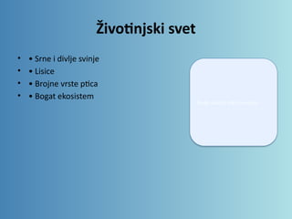 Životinjski svet
• • Srne i divlje svinje
• • Lisice
• • Brojne vrste ptica
• • Bogat ekosistem
Ovde ubaciti sliku životinja
 