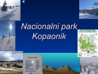 Nacionalni parkNacionalni park
KopaonikKopaonik
 