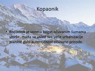 Kopaonik
• Kopaonik je veoma bogat očuvanim šumama
smrče, mada se usled sve veće urbanizacije
planine gubi autentičnost očuvane prirode.
 
