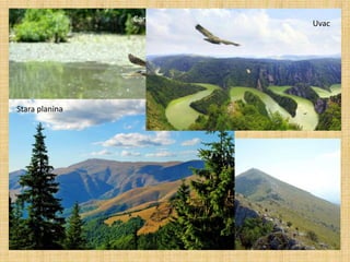 Carska bara
Rtanj
Stara planina
Uvac
 