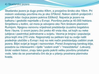 4) Skadarsko jezero
Skadarsko jezero je dugo preko 40km, a prosječno široko oko 10km. Pri
niskom vodostaju površina mu je oko 370km2. Nakon obilnih proljećnih i
jesenjih kiša i bujica jezero pokriva 530km2. Najveće je jezero na
balkanu i geološki najmlađe u Evropi. Površina parka je 40.000 hektara.
Smješteno u kotlini, od mora je odvojeno oko 7km širokom planinom
Rumijom. Njegovu osnovnu vrijednost predstavlja izuzetno bogatstvo
flore i faune. U ovom jezeru živi preko 40 vrsta riba, od kojih su neke
(ukljeva i pastrmka) jedinstvene u svijetu. Veoma je brojna i populacija
ptica kojih ima 270 vrsta. Najpoznatiji su pelikani koji su ovdje našli
poslednje utočište u Evropi i koji na neki način predstavljaju zaštitni znak
jezera. Biljni svijet je bogat i raznovrstan. Pored živopisnog barskog bilja,
posebno su interesantni i rijetki ”vodeni orah” i ”mesožderka”. Lokvanji,
široki vodeni listovi, znaju tako gusto pokriti veliku površinu priobalne
vode, tako da se posmatraču čini da je u pitanju prostrana planinska
livada.
 