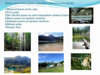 Sedam zona Parka spada u specijalne zaštićene zone (ICUM):
1)Rezervat šume smrče i jele
2)Crna poda
3)Sliv Škrčkih jezera sa užom kanjonskom obalom Sušice
4)Barno jezero sa najužom okolinom
5)Zabojsko jezero sa najužom okolinom
6)Mlinski potok
7)Kanjon Tare
 
