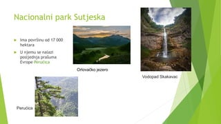Nacionalni park Sutjeska
 Ima površinu od 17 000
hektara
 U njemu se nalazi
posljednja prašuma
Evrope Perućica
Orlovačko...