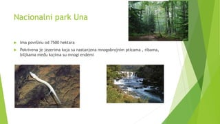 Nacionalni park Una
 Ima površinu od 7500 hektara
 Pokrivena je jezerima koja su nastanjena mnogobrojnim pticama , ribam...