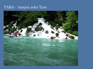 TARA - kanjon reke Tare
 