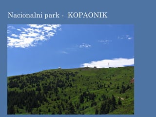 Nacionalni park - KOPAONIK
 
