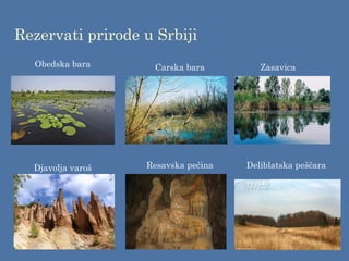 Rezervati prirode u Srbiji
Carska bara
Obedska bara
Deliblatska peščara
Djavolja varoš Resavska pećina
Zasavica
 