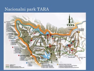 Nacionalni park TARA
 