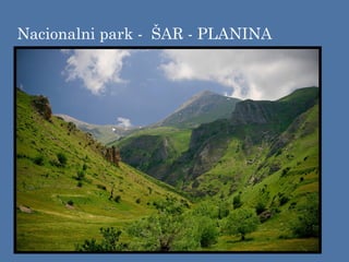 Nacionalni park - ŠAR - PLANINA
 