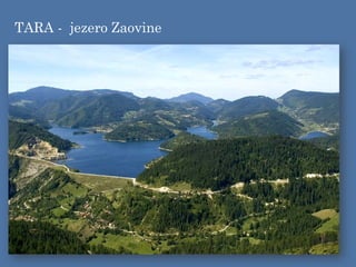 TARA - jezero Zaovine
 