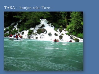 TARA - kanjon reke Tare
 