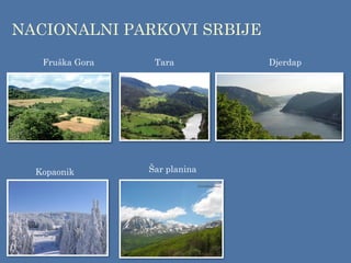 NACIONALNI PARKOVI SRBIJE
Tara
Fruška Gora Djerdap
Kopaonik Šar planina
 