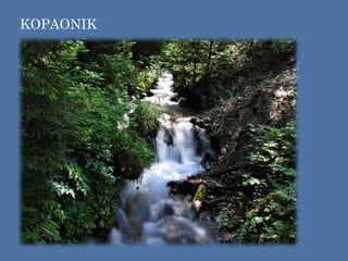 KOPAONIK
 