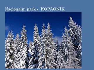 Nacionalni park - KOPAONIK
 