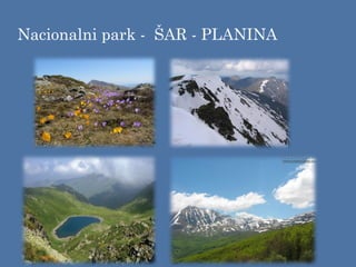Nacionalni park - ŠAR - PLANINA
 